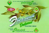 евкаліпт эвкалипт gws, эвкалипт, евкаліпт