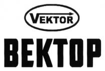vektor, вектор