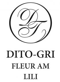 dito-gri, dito, gri, fleur am lili, fleur, am, lili, дг, dt, di