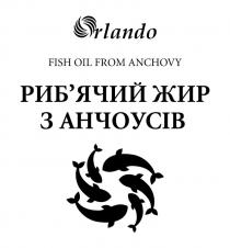 риб'ячий жир з анчоусів, риб'ячий, рибячий, жир, анчоусів, orlando, fish oil from anchovy, fish, oil, from, anchovy