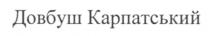 довбуш карпатський, довбуш, карпатський
