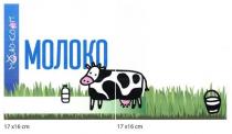 молоко, молокооп, моло, кооп, 17х16см, 17, 16, см, моло кооп