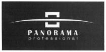 panorama professional, panorama, professional