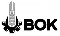 bok, вок