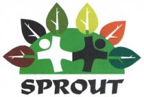 sprout