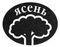 ясень