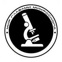 мир глазами микроскопа, мир, глазами, микроскопа