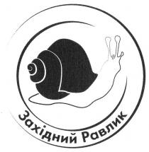 західний равлик, західний, равлик