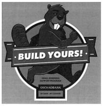build yours, build, yours, small business support program, small, business, support, program, oschadbank, my bank me country, my, bank, country
