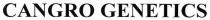 cangro genetics, cangro, genetics
