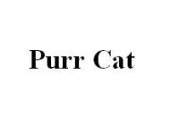 purr cat, purr, cat