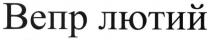 вепр лютий, вепр, лютий