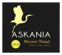 askania, eco wine, eco, wine, мускат таврії, мускат, таврії, white semi sweet, white, semi, sweet