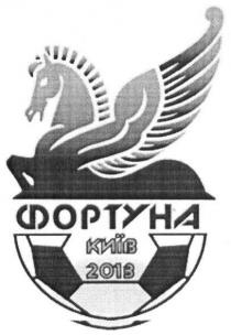 фортуна київ 2013, фортуна, київ, 2013