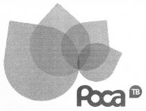 роса тв, роса, тв, poca tb, poca, tb