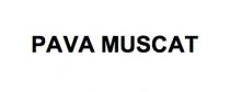 pava muscat, pava, muscat