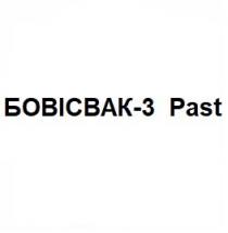 past, бовісвак-3, бовісвак 3, бовісвак, 3