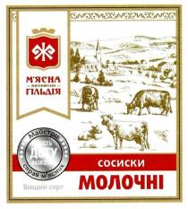 ж, сосиски молочні, сосиски, молочні, м`ясна житомирська гільдія, мясна, м`ясна, гільдія, житомирська, майстри справ м`ясних, майстри, справ, мясних, м`ясних, якість дсту, якість, дсту