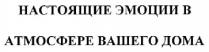 настоящие эмоции в атмосфере вашего дома, настоящие, эмоции, атмосфере, дома