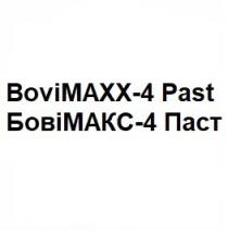 bovimaxx-4 past, bovimaxx 4 past, bovimaxx, bovi maxx, bovi, maxx, 4, past, бовімакс-4 паст, бовімакс 4 паст, бовімакс, бові макс, бові, макс, паст, махх, makc