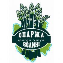 sparga volyni, sparga, volyni, спаржа волині, спаржа, волині