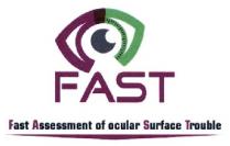 fast assessment of ocular surface trouble, fast, assessment, ocular, surface, trouble