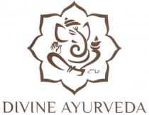 divine ayurveda, divine, ayurveda