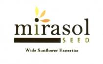 mirasol seed, mirasol, seed, wide sunflower expertise, wide, sunflower, expertise