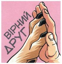 вірний друг, вірний, друг