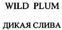 дикая слива, wild plum