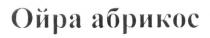 ойра абрикос, ойра, абрикос