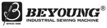 beyoung, industrial sewing machine, industrial, sewing, machine, b, в, since 1989, since, 1989, 3