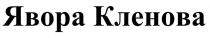 явора кленова, явора, кленова