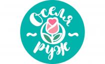 оселя руж, оселя, руж