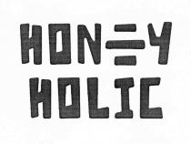 honey holic, honey, holic