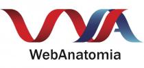 webanatomia, web anatomia, web, anatomia, wa, vva