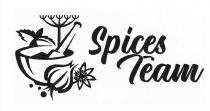 spices team, spices, team
