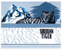 siberian tiger, siberian, tiger