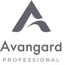 avangard professional, avangard, professional, a, а