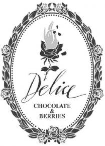 delice, chocolate&berries, chocolate berries, chocolate, berries