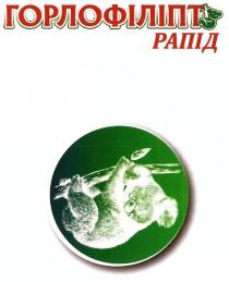 горлофіліпт рапід, горлофіліпт, рапід