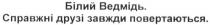 повертаються, завжди, друзі, справжні, ведмідь, білий, білий ведмідь. справжні друзі завжди повертаються