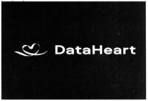 dataheart, data heart, data, heart