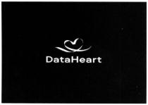 dataheart, data heart, data, heart