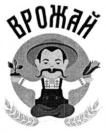 врожай