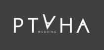 ptaha wedding, ptaha, wedding, pt, a, ha, ртана, рт, а, на