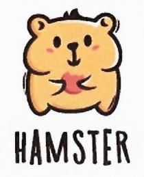hamster