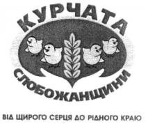 курчата слобожанщини від щирого серця до рідного краю, курчата, слобожанщини, щирого, серця, рідного, краю