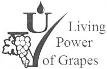 living power of grapes, living, power, grapes, uv, vu