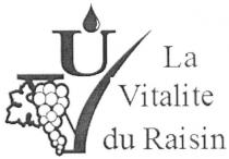 la vitalite du raisin, la, vitalite, du, raisin, uv, vu